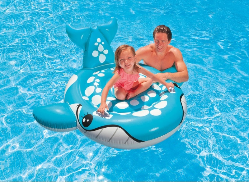 ILE BALEINE A CHEVAUCHER