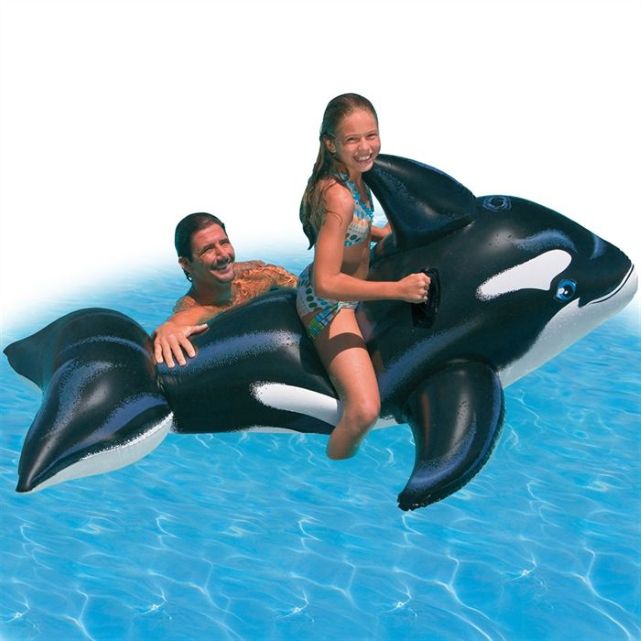 GRANDE BALEINE A CHEVAUCHER