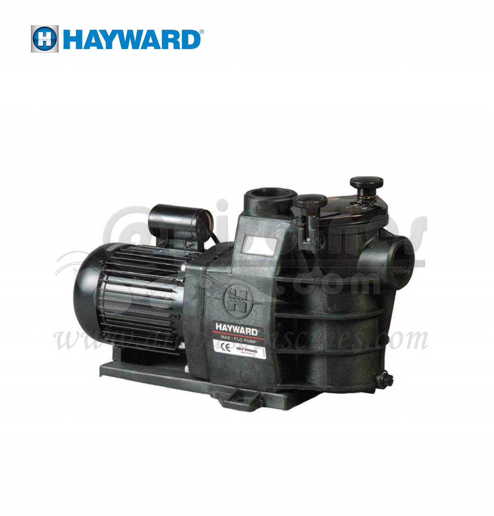 pompe Hayward max flow vente pas CHER